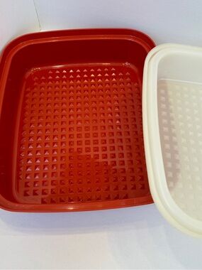 Vintage Tupperware Lg Season Serve Multipurpose Container 1294-1 Paprika w Lid
